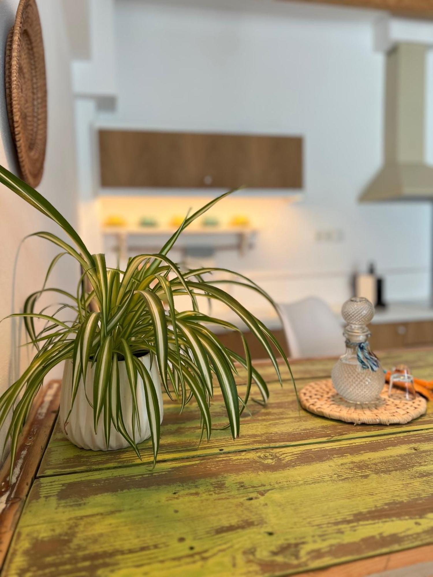 Notus Suites Plakias Zewnętrze zdjęcie